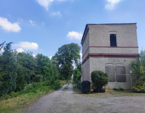 Obiekt na sprzedaż, Ząbkowicki (pow.) Ziębice (gm.) Ziębice, 62 000 zł, 89,3 m2, 21138611