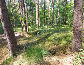 Leśne na sprzedaż, Wołomiński Turze, 120 000 zł, 17 700 m2, G-82933-13