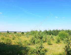 Rolny na sprzedaż, Miński Wąsy, 62 000 zł, 3002 m2, G-81334-13