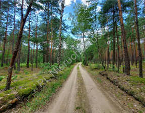 Leśne na sprzedaż, Wołomiński Łosie, 508 200 zł, 23 100 m2, G-141457-0