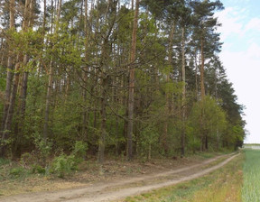 Leśne na sprzedaż, Poznański Rokietnica, 400 000 zł, 44 017 m2, 28770638