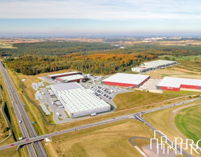 Magazyn do wynajęcia, Tczewski Tczew, 96 000 zł, 6000 m2, PFE133149