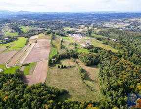 Działka na sprzedaż, Limanowski Limanowa Stare Rybie, 80 000 zł, 900 m2, PROH-GS-503