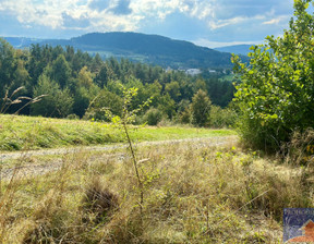 Działka na sprzedaż, Limanowski Limanowa Stara Wieś, 295 000 zł, 5700 m2, PROH-GS-506