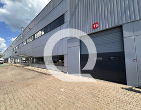 Magazyn do wynajęcia, Zgierski Stryków Smolice, 75 844 zł, 4800 m2, QRC-HW-7267