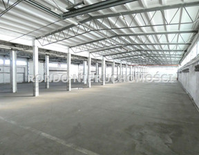 Magazyn do wynajęcia, Wrocław M. Wrocław Fabryczna, 40 000 zł, 1500 m2, RDO-HW-6411