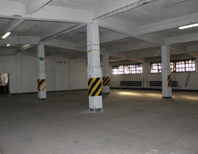 Magazyn do wynajęcia, Sosnowiec Ptasia, 10 625 zł, 850 m2, 2713