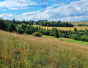 Rolny na sprzedaż, Nowotarski Łapsze Niżne Łapsze Wyżne, 200 000 zł, 11 611 m2, 1718/2680/OGS