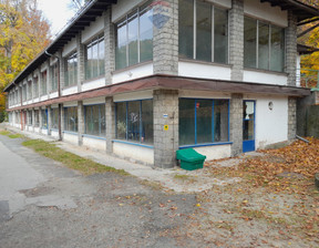 Obiekt do wynajęcia, Nowotarski Szczawnica, 910 zł, 91 m2, 389/2680/OLW