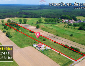 Rolny na sprzedaż, Zielonogórski Świdnica Drzonów, 120 000 zł, 20 314 m2, 142/9148/OGS