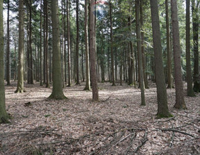 Leśne na sprzedaż, Suski Budzów, 20 000 zł, 1200 m2, 5501/3123/OGS