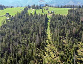 Leśne na sprzedaż, Tatrzański Zakopane, 35 000 zł, 2331 m2, 2410/2680/OGS