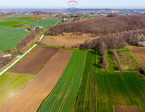 Działka na sprzedaż, Proszowicki Nowe Brzesko Sierosławice, 148 000 zł, 3300 m2, 2477/2680/OGS