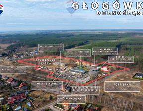 Magazyn, hala na sprzedaż, Głogowski Kotla Głogówko, 3 720 000 zł, 53 801 m2, 41/9148/OOS