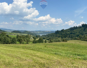 Działka na sprzedaż, Nowotarski Łapsze Niżne Falsztyn, 250 000 zł, 1245 m2, 2567/2680/OGS