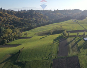 Budowlany na sprzedaż, Nowotarski Łapsze Niżne Falsztyn, 260 000 zł, 1201 m2, 2579/2680/OGS