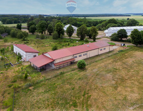 Magazyn, hala na sprzedaż, Nidzicki Kozłowo Gołębiewo, 490 000 zł, 632 m2, 10/11496/OOS