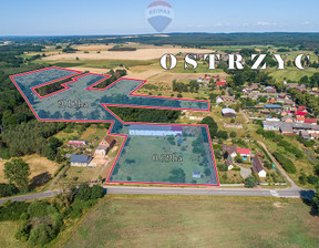 Działka na sprzedaż, Zielonogórski Trzebiechów Ostrzyce, 995 000 zł, 99 100 m2, 92/9148/OGS