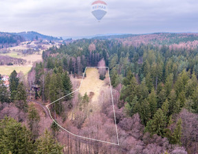 Rolny na sprzedaż, Kłodzki Polanica-Zdrój Wiejska, 720 000 zł, 10 300 m2, 138/9148/OGS