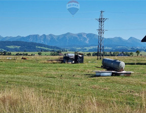 Działka na sprzedaż, Nowotarski Czarny Dunajec Wróblówka, 290 000 zł, 9222 m2, 1709/2680/OGS