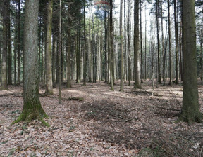 Leśne na sprzedaż, Suski Budzów, 20 000 zł, 1500 m2, 5493/3123/OGS
