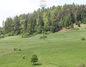 Działka na sprzedaż, Nowotarski Krościenko Nad Dunajcem Krośnica, 198 000 zł, 8049 m2, 2601/2680/OGS