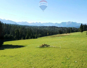 Działka na sprzedaż, Tatrzański Bukowina Tatrzańska Rzepiska, 289 000 zł, 1271 m2, 2620/2680/OGS