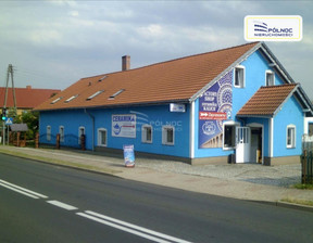 Magazyn, hala na sprzedaż, Bolesławiecki Nowogrodziec Czerna, 590 000 zł, 550 m2, 1405/3877/OOS