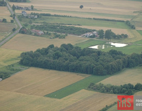 Działka na sprzedaż, Kolski Osiek Mały Trzebuchów, 490 000 zł, 21 668 m2, RS-GS-507093