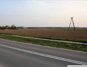 Handlowo-usługowy na sprzedaż, Brzeski Szczurowa, 290 000 zł, 14 600 m2, 4/16211/OGS