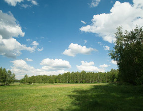 Działka na sprzedaż, Olsztyński (Pow.) Stawiguda (Gm.) Dorotowo, 299 000 zł, 3086 m2, 43