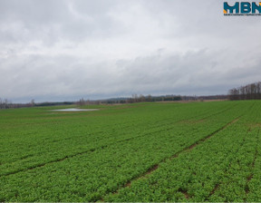 Rolny na sprzedaż, Giżycki Wydminy Orłowo, 260 000 zł, 41 077 m2, MBN-GS-1231