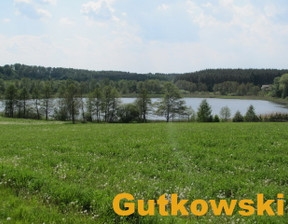 Rolny na sprzedaż, Nowomiejski (Pow.) Nowe Miasto Lubawskie Jamielnik, 690 000 zł, 10 001 m2, 3419-B