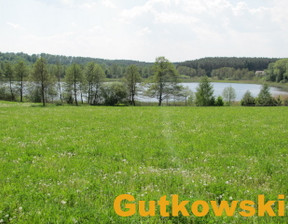 Rolny na sprzedaż, Nowomiejski (Pow.) Nowe Miasto Lubawskie Jamielnik, 590 000 zł, 10 005 m2, 3419-A