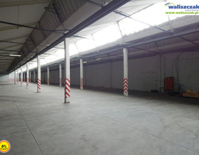 Magazyn na sprzedaż, Tomaszowski Tomaszów Mazowiecki, 9 380 000 zł, 14 000 m2, HS-14127-3