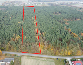 Leśne na sprzedaż, Piotrkowski Łęki Szlacheckie Ogrodzona, 85 000 zł, 22 500 m2, GS-13420-1