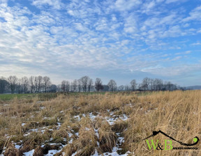 Budowlany-wielorodzinny na sprzedaż, Tarnogórski Tworóg Połomia, 60 000 zł, 1200 m2, 145690589