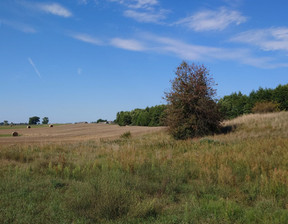 Rolny na sprzedaż, Kolski Babiak Góraj, 45 000 zł, 4760 m2, 668441