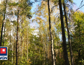 Leśne na sprzedaż, Pajęczański Kiełczygłow Chorzew 1487, 18 000 zł, 8100 m2, 497
