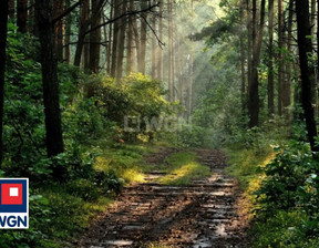 Leśne na sprzedaż, Pajęczański Kiełczygłow Chorzew, 130 000 zł, 40 000 m2, 478