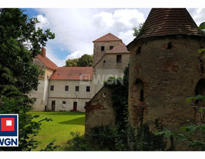 Dom na sprzedaż, Ząbkowicki Ziębice Witostowice Witostowice - Zamek, 5 800 000 zł, 4930 m2, 37880010
