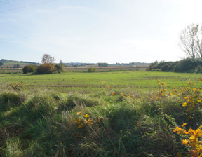 Działka na sprzedaż, Strzeliński (Pow.) Kondratowice (Gm.) Prusy, 450 000 zł, 8360 m2, 159