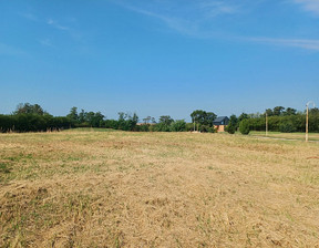 Rolny na sprzedaż, Gnieźnieński (Pow.) Kłecko (Gm.) Dębnica, 144 000 zł, 3600 m2, 9118