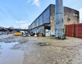 Magazyn na sprzedaż, Łódź Widzew Olechów, 4 000 000 zł, 1200 m2, 5875