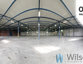 Magazyn do wynajęcia, Piaseczno Julianowska, 62 350 zł, 2150 m2, WIL110572