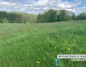 Budowlany na sprzedaż, Ostróda Kajkowo, 250 000 zł, 1634 m2, WIL742063