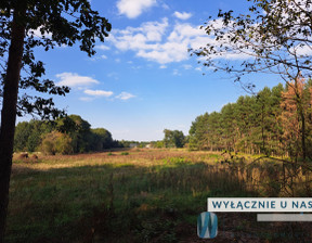 Działka na sprzedaż, Młodzieszyn Bieliny, 850 000 zł, 24 880 m2, WIL219581