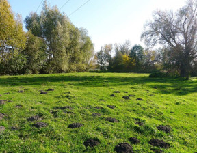 Działka na sprzedaż, Zgierski Ozorków, 350 000 zł, 7836 m2, AFK-GS-2764