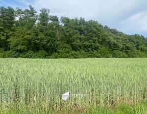 Budowlany na sprzedaż, Opolski Dąbrowa Karczów Grobla, 300 000 zł, 1355 m2, TC155665