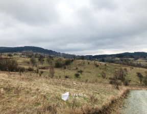 Budowlany na sprzedaż, Wałbrzyski Głuszyca Sierpnica Zielone Wzgórze, 1 500 000 zł, 25 036 m2, TC101954